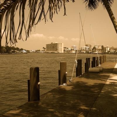 Dock sepia
